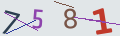 verifycode
